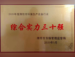 综合实力三十强